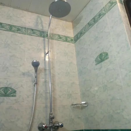 罗尼酒店 内塞伯尔